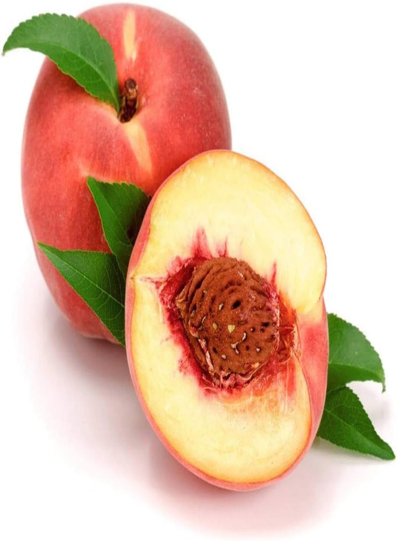 GGOOT 5pcs Peach seeds Planted in Outdoor Farms with Ornamental Value Easy Care for Pastoral Scenery Creating Unique Artistic Landscape Little Difficulty - Image 2