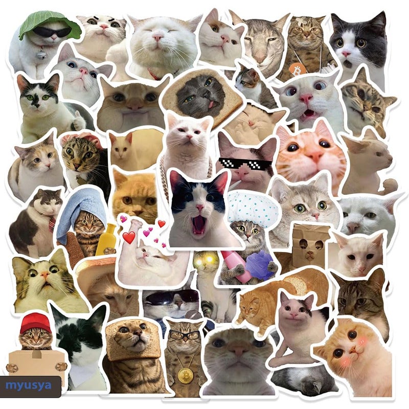 myusya 50 Pcs Cat Stickers,Funny Cat Meme,Waterproof Vinyl Stickers for Laptop Phone Guitar Water Bottles Luggage - Image 1