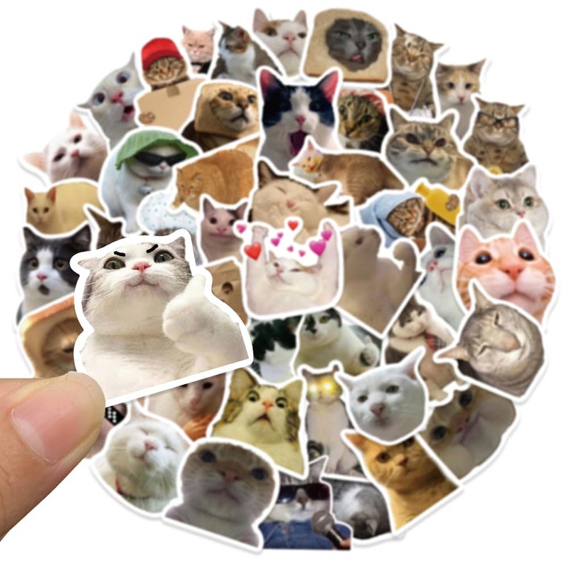 myusya 50 Pcs Cat Stickers,Funny Cat Meme,Waterproof Vinyl Stickers for Laptop Phone Guitar Water Bottles Luggage - Image 4