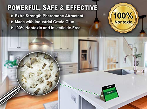 MaxGuard Pantry Moth Traps (4 Traps Trial Pack) Extra Strength Pheromones | Non-Toxic Sticky Glue Trap for Food and Cupboard Moths in Your Kitchen | Trap and Kill Seed Grain Flour Meal Moths | - Image 4