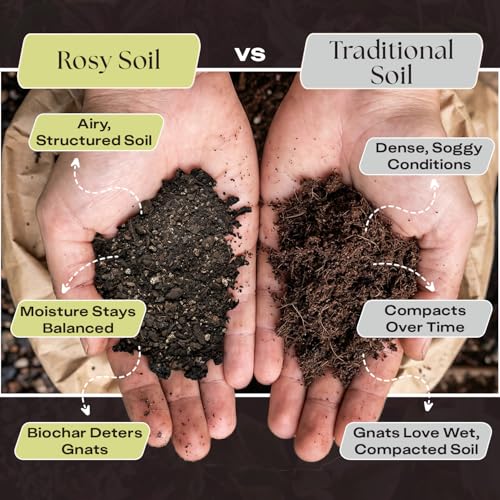 Rosy Soil Aroid Soil Potting Mix - Peat-Free, Microbially Active Biochar Powered Soil for Aroids - Superior Aeration & Drainage for Aroid Plants - Ideal for Indoor Gardening - 4 Quarts - Image 3
