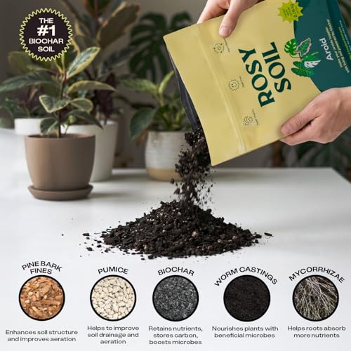 Rosy Soil Aroid Soil Potting Mix - Peat-Free, Microbially Active Biochar Powered Soil for Aroids - Superior Aeration & Drainage for Aroid Plants - Ideal for Indoor Gardening - 4 Quarts - Image 4