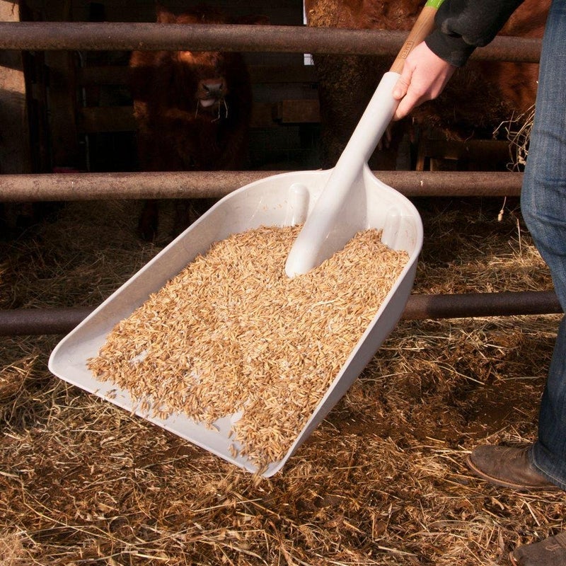AMES 46-Inch Poly Scoop with Hardwood Handle and Ergonomic D-Grip, Ideal for Garden Care, Landscaping, Moving Shavings or Grain, Farming Tasks, and Heavy-Duty Yard Work - Image 2