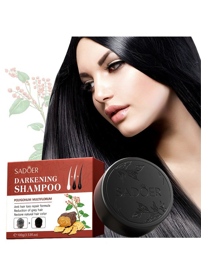 SADOER Darkening Shampoo-Anti hair loss repair formula Reduction of grey hair Restore natural hair color 100g - Image 1