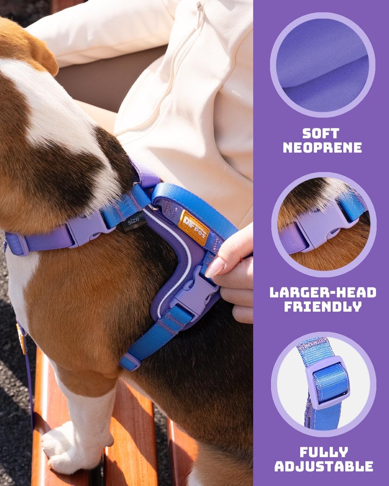 DF Freedom No Pull Martingale Dog Harness, Gentle Control for No Choking, Front Clip Harness with Reflective, Adjustable & Padded Handle for Easy Walking & Training, Rainbow, 1", Chest 22.4"-30.4" - Image 3