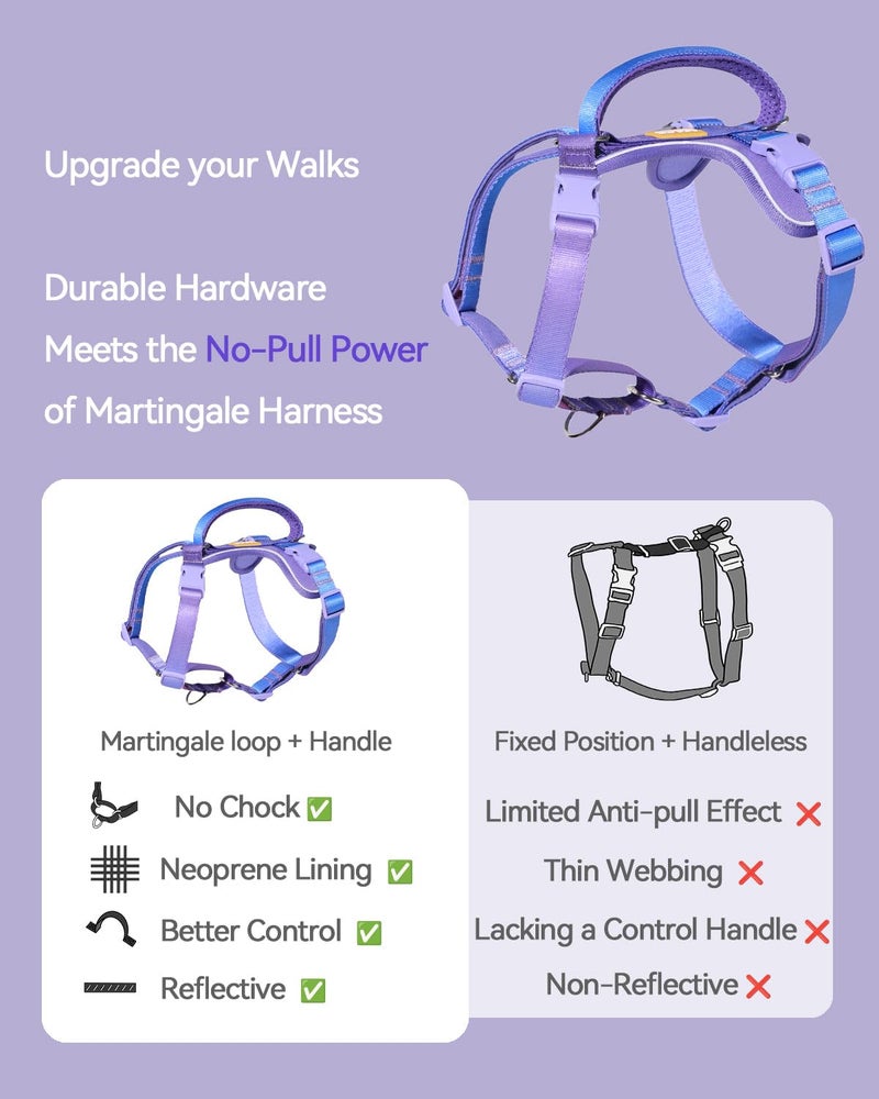 DF Freedom No Pull Martingale Dog Harness, Gentle Control for No Choking, Front Clip Harness with Reflective, Adjustable & Padded Handle for Easy Walking & Training, Rainbow, 1", Chest 22.4"-30.4" - Image 4