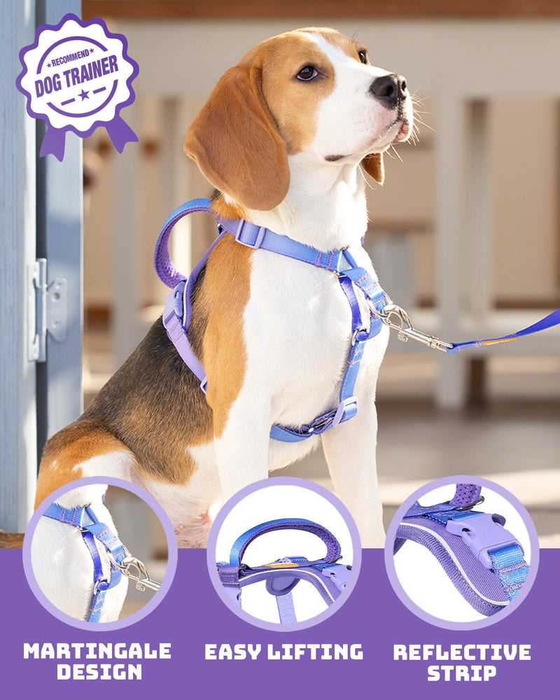 DF Freedom No Pull Martingale Dog Harness, Gentle Control for No Choking, Front Clip Harness with Reflective, Adjustable & Padded Handle for Easy Walking & Training, Rainbow, 1", Chest 22.4"-30.4" - Image 2