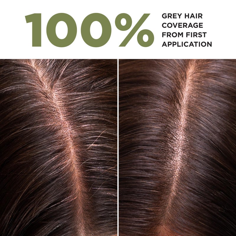 Lazartigue La Couleur Absolue, Permanent Hair Color with Botanical Extracts, Light Chestnut, Full Grey Coverage Coloring Kit, Vegan, Cruelty-Free, Ammonia-Free - Image 2