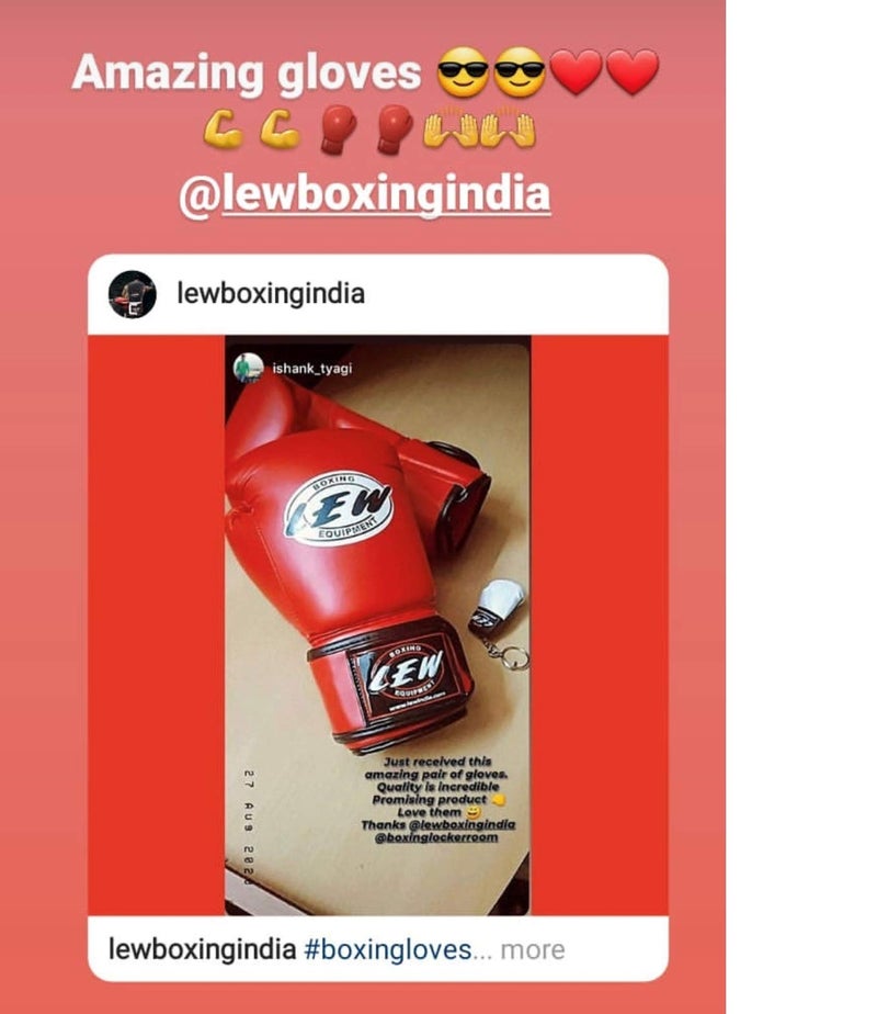 LEW Training Boxing Gloves with a Pair of Hand Wraps - Image 2