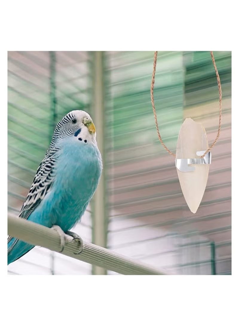 2PCS Natural Cuttlefish Bone Rich In Calcium For Birds - Image 5