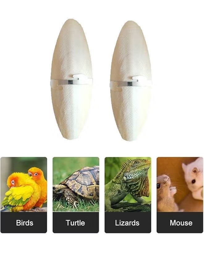 2PCS Natural Cuttlefish Bone Rich In Calcium For Birds - Image 3