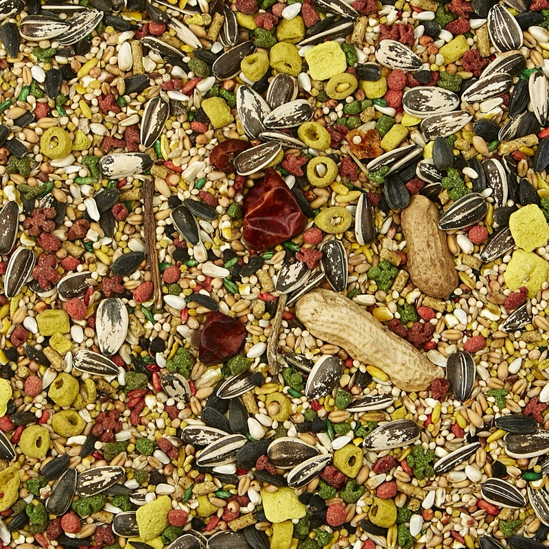 Kaytee Forti-Diet Pro Health Egg-Cite Pet Conure & Lovebird Food, 3 Pound - Image 5