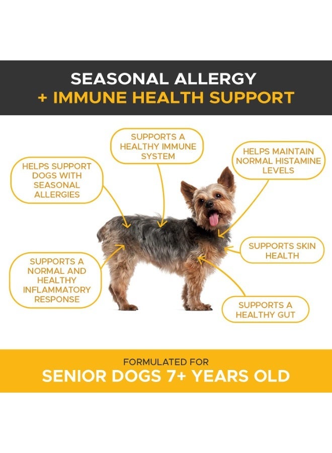 Pet Honesty PetHonesty Allergy Relief Immunity Supplement for Dogs - Omega 3 Salmon Fish Oil, Colostrum, Digestive Prebiotics & Probiotics - for Seasonal Allergies + Anti Itch, Skin Hot Spots Soft Chews - Image 2