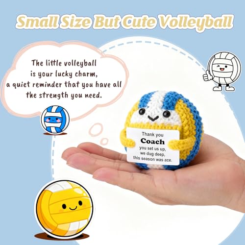Weming Coach Mini Crochet Volleyball Plush with Story Sign Handmade 4inch YearEnd Thank You Stocking Stuffer Secret Santa Team Desk Dcor - Image 5