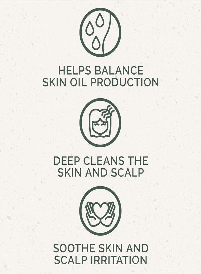 Chagrin Valley Soap & Salve Neem & Tea Tree Organic Soap & Shampoo Bar - Soothe Dry, Itchy, Irritated Skin - Sulfate Free - For Body & Hair Vegan Shampoo Natural, Large 5.6 oz Bar - 3PK - Image 5