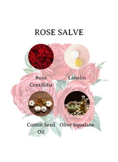C. O. Bigelow C.O. Bigelow All Purpose Salve Lip Balm Tins, Rose Salve Pack of 3 for Chapped Lips & Dry Skin - Moisturizing Lip, Cuticle 0.8 oz each  - Image 4
