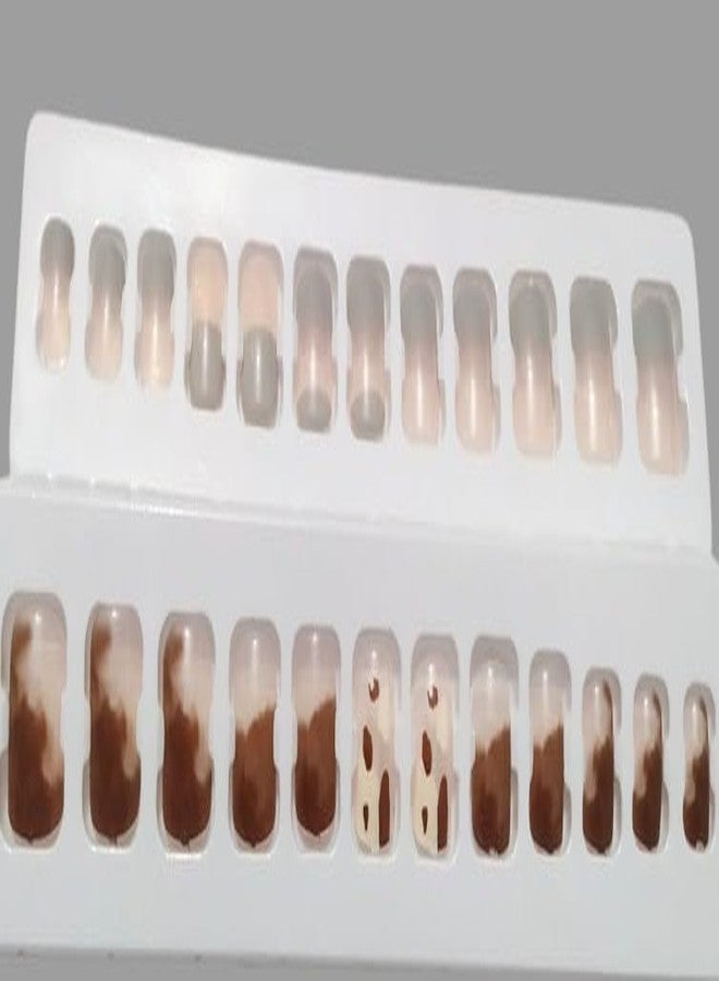 BRIKSHI Long Acrylic False Artificial MultiColor Stick on Nails Art Tips (pack 2)(24pcs)601 - Image 2