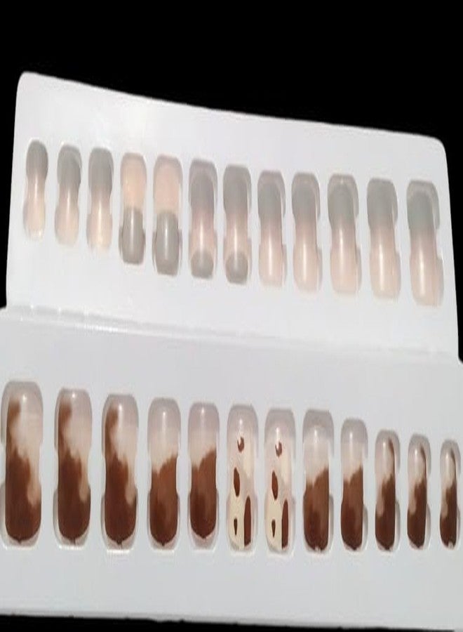 BRIKSHI Long Acrylic False Artificial MultiColor Stick on Nails Art Tips (pack 2)(24pcs)601 - Image 3