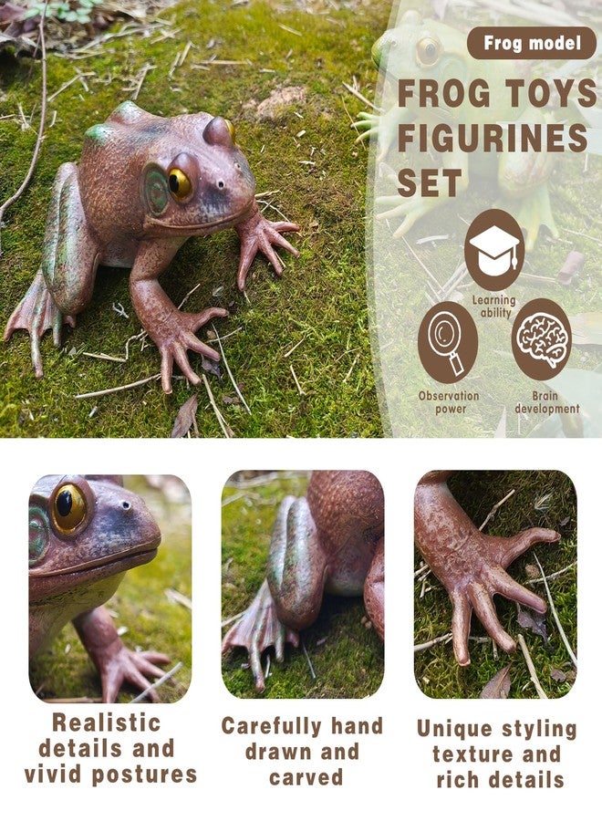 SCAHOW Realistic Tree Frog Figure Plastic Hand Painted Bullfrog Figurine Educational Rubber Animal Model Toys for Kids Children - Image 3