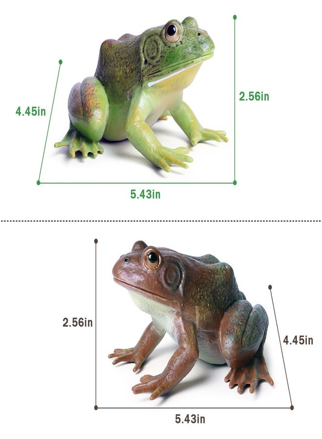 SCAHOW Realistic Tree Frog Figure Plastic Hand Painted Bullfrog Figurine Educational Rubber Animal Model Toys for Kids Children - Image 5
