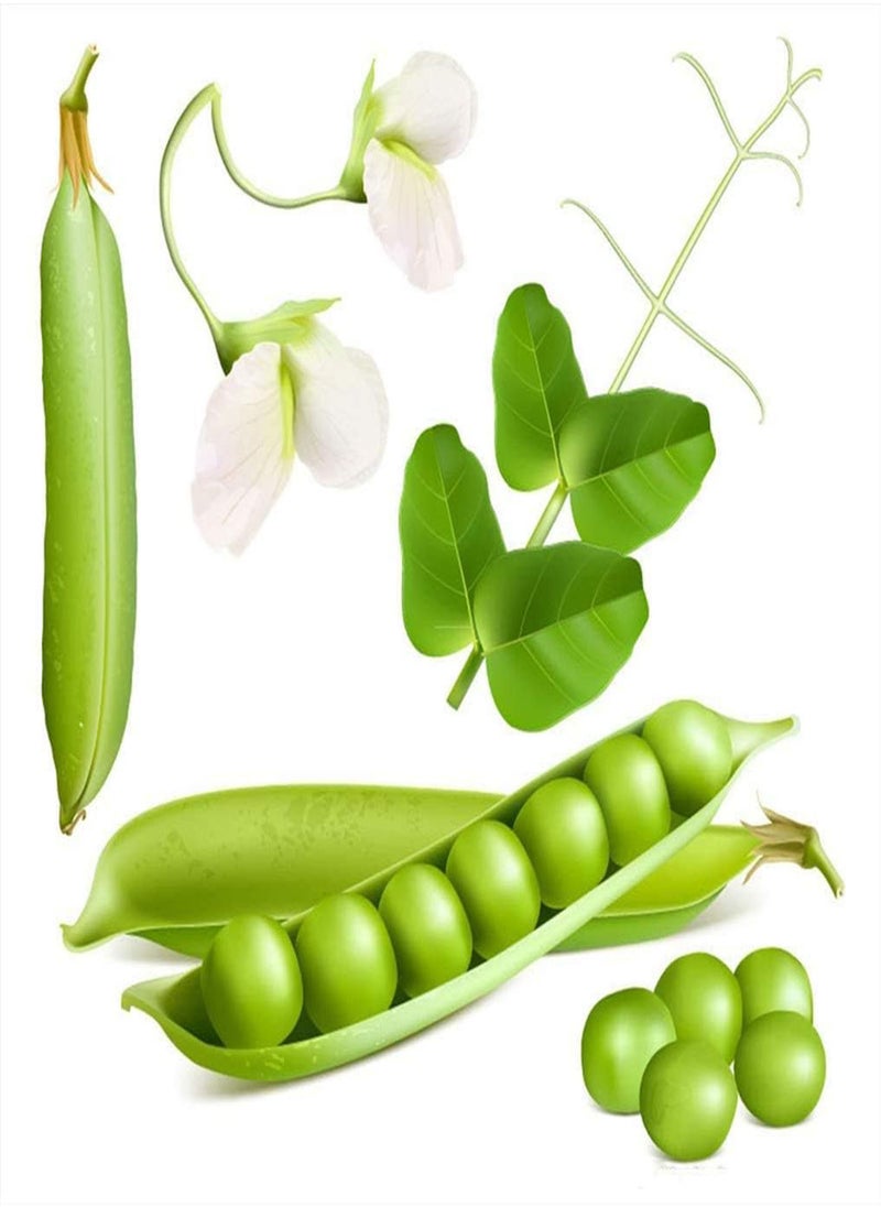 GGOOT - 80pcs Pea Seeds - Image 1