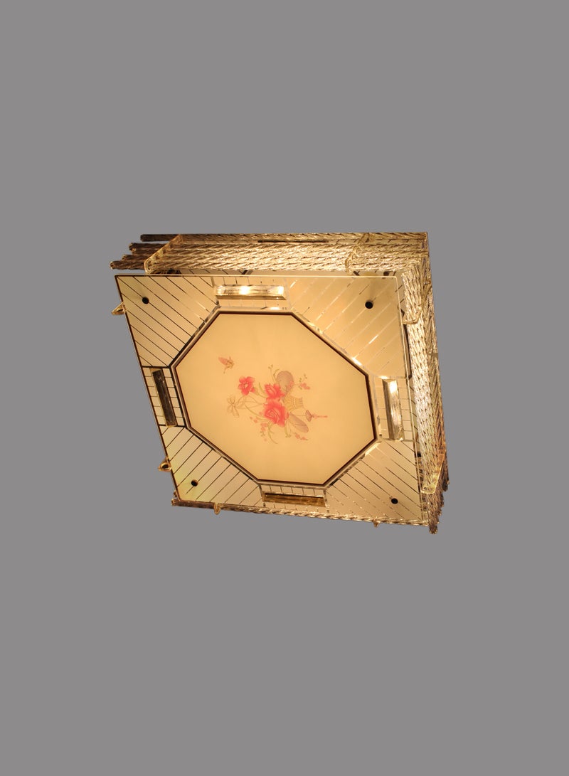 بلاقونيره 8618 - Image 2