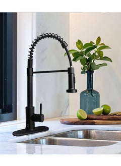 Black Kitchen Faucet with Pull Down Sprayer