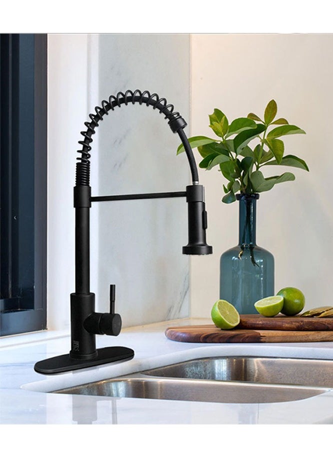 Gasin Black Kitchen Faucet with Pull Down Sprayer, Industrial Commercial Stainless Steel Single Handle Single Hole 2 Hole RV Laundry Pull Down Gooseneck Kitchen Sink Faucet, Kitchen Equipment  - Image 1
