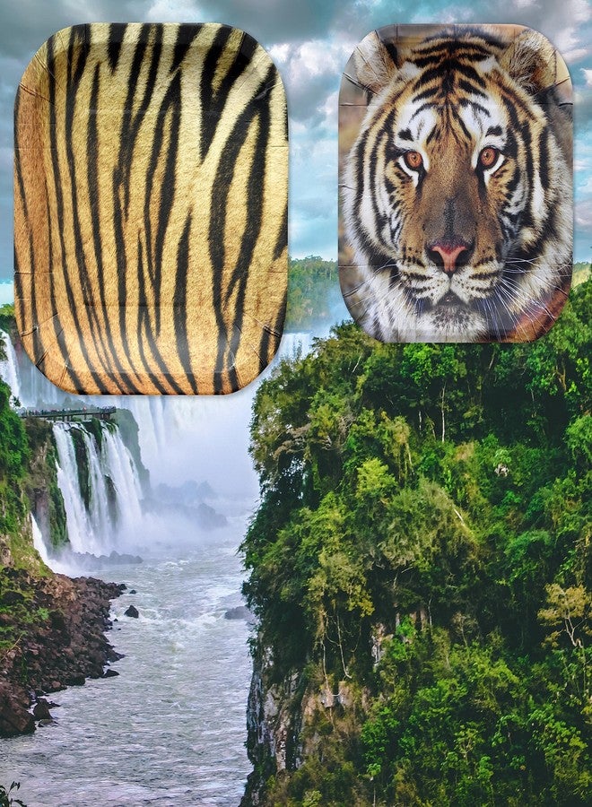 Havercamp Tiger Theme Party Pack for 24 Guests! Photo-Realistic Tiger Supplies for a Roaring Good Birthday, Football, or any Big Cat Event! Includes 24 Dinner Plates & 24 Side Plates - Image 5
