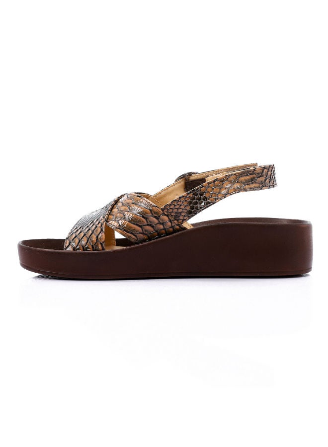 Mr.joe Cross Toecap Reptile Skin Brown Sandals - Image 5
