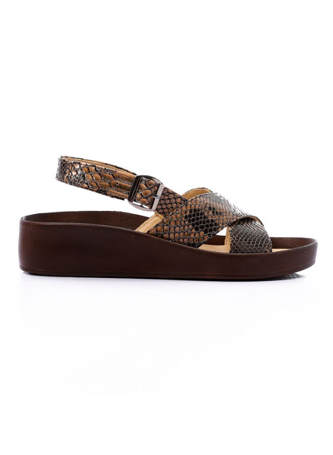 Mr.joe Cross Toecap Reptile Skin Brown Sandals - Image 3