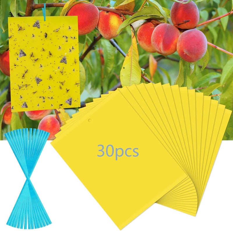 Dwcom Trap 30 Pack Yellow Sticky Traps Fruit Fly Trap, Double-Sided Fungus Gnat Trap Insects Pest Killer for Outdoor Indoor - Image 1