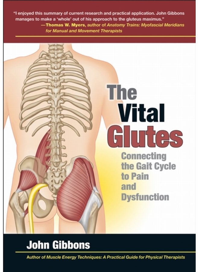 The Vital Glutes Connecting the Gait Cycle to Pain and Dysfunction - Paperback