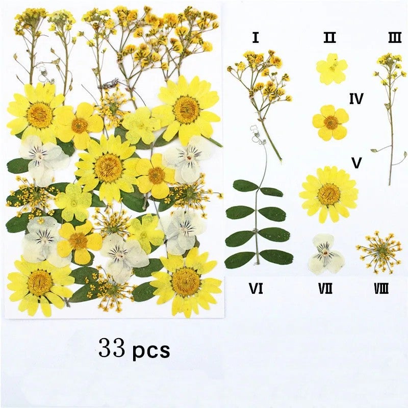 Bluejw M031 Handicraft Flower Press Bulk Mixed Pack – Fresh Real Pressed Natural Dried Flowers & Dried Plants for Resin Crafts, DIY Art, and Decor - Image 1