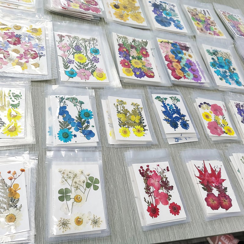 Bluejw M031 Handicraft Flower Press Bulk Mixed Pack – Fresh Real Pressed Natural Dried Flowers & Dried Plants for Resin Crafts, DIY Art, and Decor - Image 2