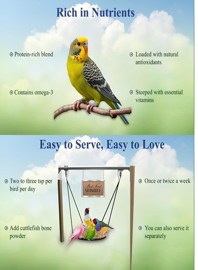 بذور نيتيشري الممتازة لطيور البادجي، بذور غنية بالبروتين مع مسحوق عظام الحبار - 150 غرام إضافي، للبادجي والببغاوات الصغيرة والطيور الصغيرة، عبوة من ثلاث قطع وزن كل منها 850 غرام. - Image 3