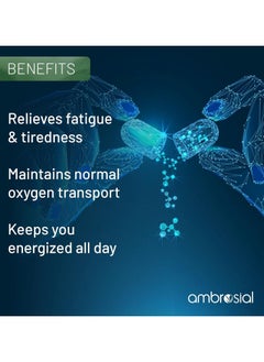 ambrosial Iron Tablets High Strength 25Mg Iron Supplement- 120 Capsules  - Image 2