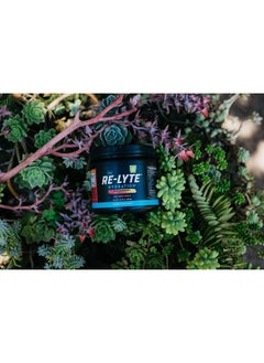 Redmond Re-Lyte Hydration Electrolyte Mix - Strawberry Lemonade  - Image 4