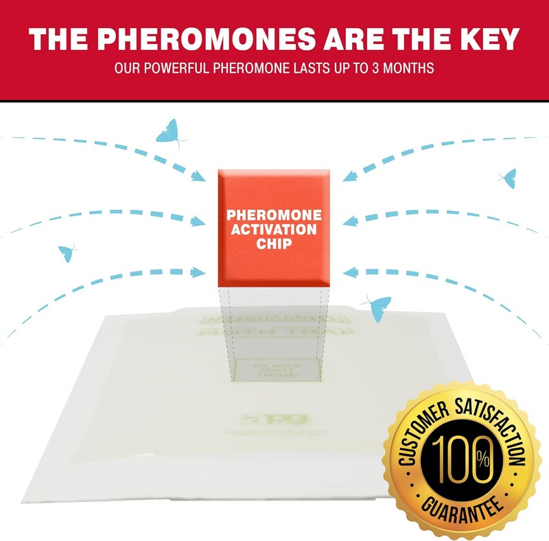 Catchmaster فخاخ الآفات والعث 2-عبوة، قاتل الحشرات لتخزين المطبخ وخزانة المؤن، فخاخ لزجة للعث للمنزل، فخ لاصق لحماية طعام الحيوانات الأليفة، تخزين خزائن المطبخ - Image 3