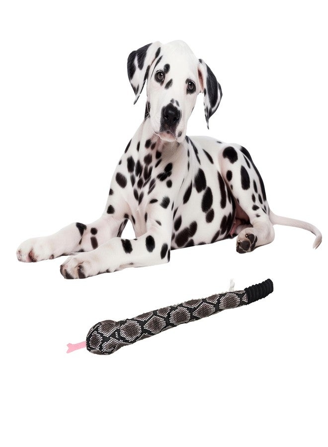 SPOT Slithery Snake Plush Dog Toy - 24" Extra Long Squeaky Toy with Rattle Tail - Soft & Durable for Light Chewers - Assorted Realistic Colors - Interactive Play - Image 1