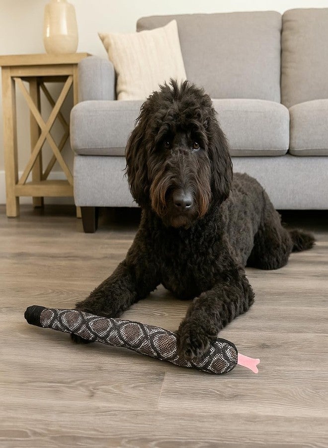 SPOT Slithery Snake Plush Dog Toy - 24" Extra Long Squeaky Toy with Rattle Tail - Soft & Durable for Light Chewers - Assorted Realistic Colors - Interactive Play - Image 2