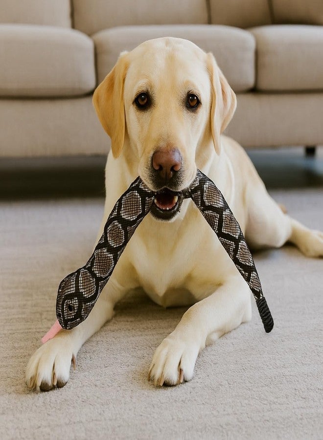 SPOT Slithery Snake Plush Dog Toy - 24" Extra Long Squeaky Toy with Rattle Tail - Soft & Durable for Light Chewers - Assorted Realistic Colors - Interactive Play - Image 4