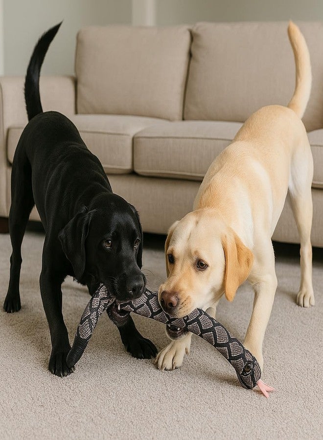 SPOT Slithery Snake Plush Dog Toy - 24" Extra Long Squeaky Toy with Rattle Tail - Soft & Durable for Light Chewers - Assorted Realistic Colors - Interactive Play - Image 5
