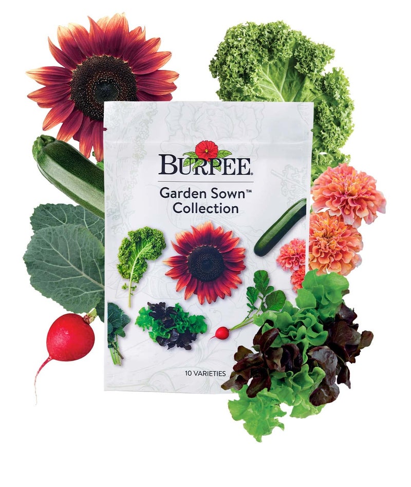 Burpee Garden Sown Flower, Herb & Vegetable 10 Packs of Non-GMO Basil, Lettuce, Cucumber, Radish, Spinach, Kale, Zucchini, Sunflower & Marigold, Seeds for Planting - Image 1