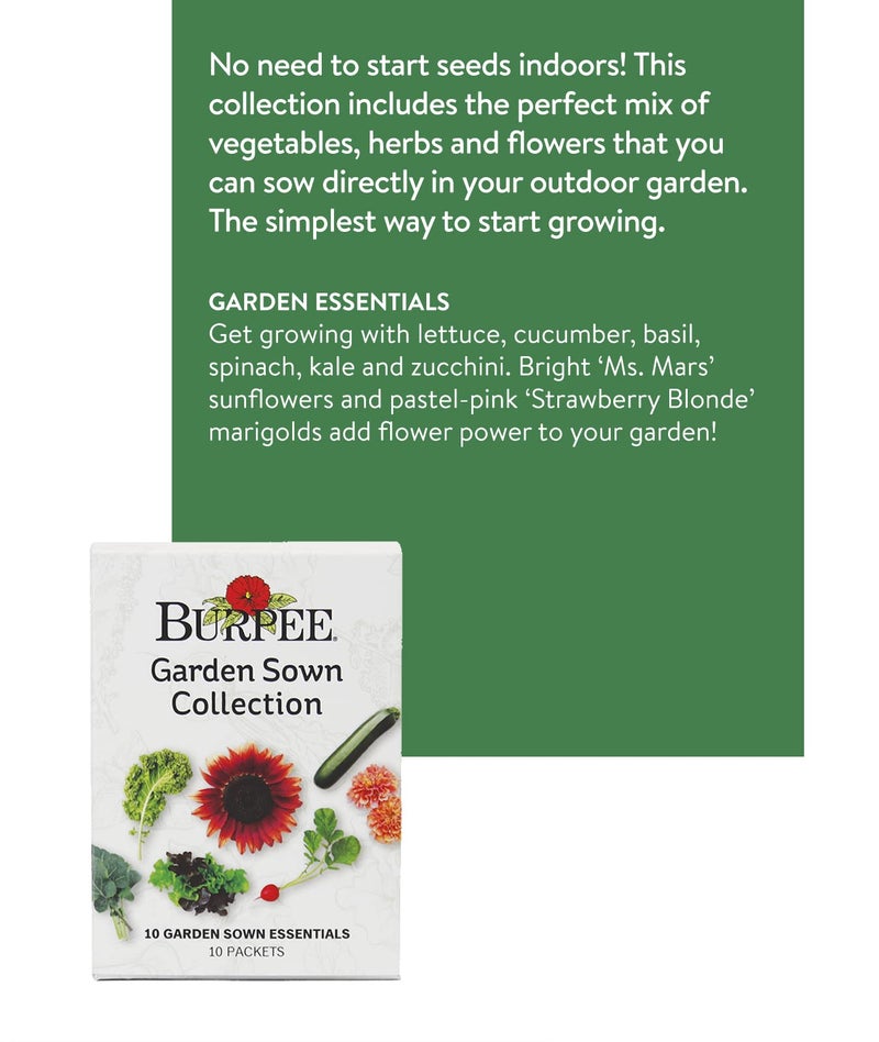 Burpee Garden Sown Flower, Herb & Vegetable 10 Packs of Non-GMO Basil, Lettuce, Cucumber, Radish, Spinach, Kale, Zucchini, Sunflower & Marigold, Seeds for Planting - Image 2