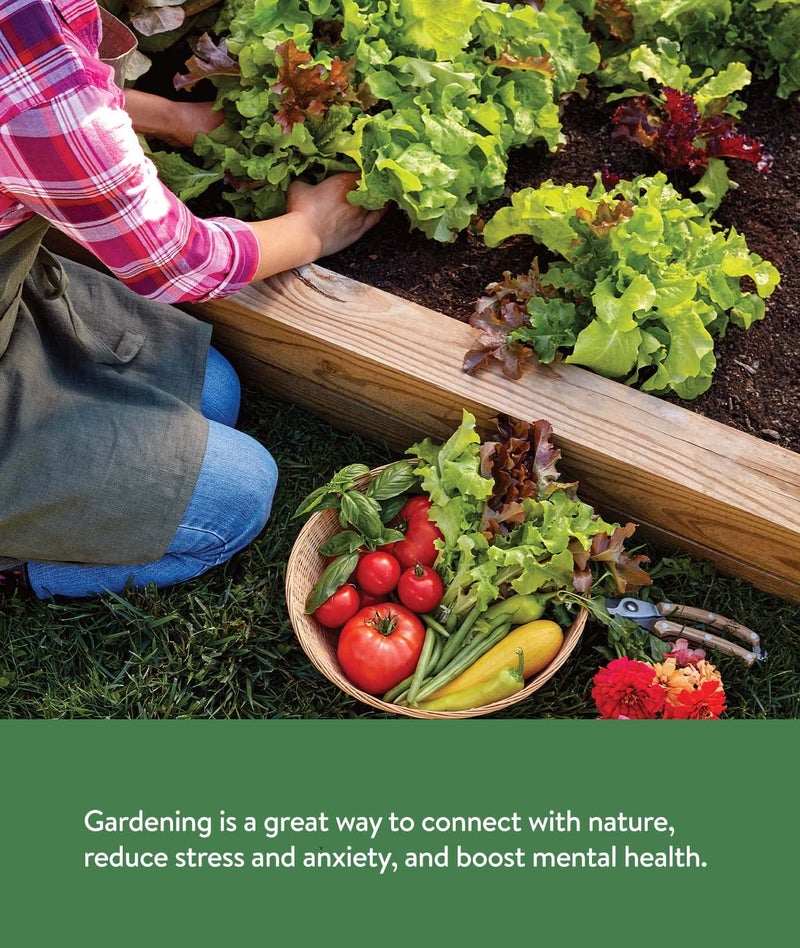 Burpee Garden Sown Flower, Herb & Vegetable 10 Packs of Non-GMO Basil, Lettuce, Cucumber, Radish, Spinach, Kale, Zucchini, Sunflower & Marigold, Seeds for Planting - Image 5