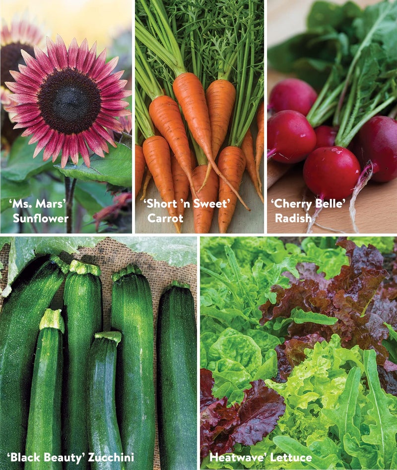 Burpee Garden Sown Flower, Herb & Vegetable 10 Packs of Non-GMO Basil, Lettuce, Cucumber, Radish, Spinach, Kale, Zucchini, Sunflower & Marigold, Seeds for Planting - Image 4