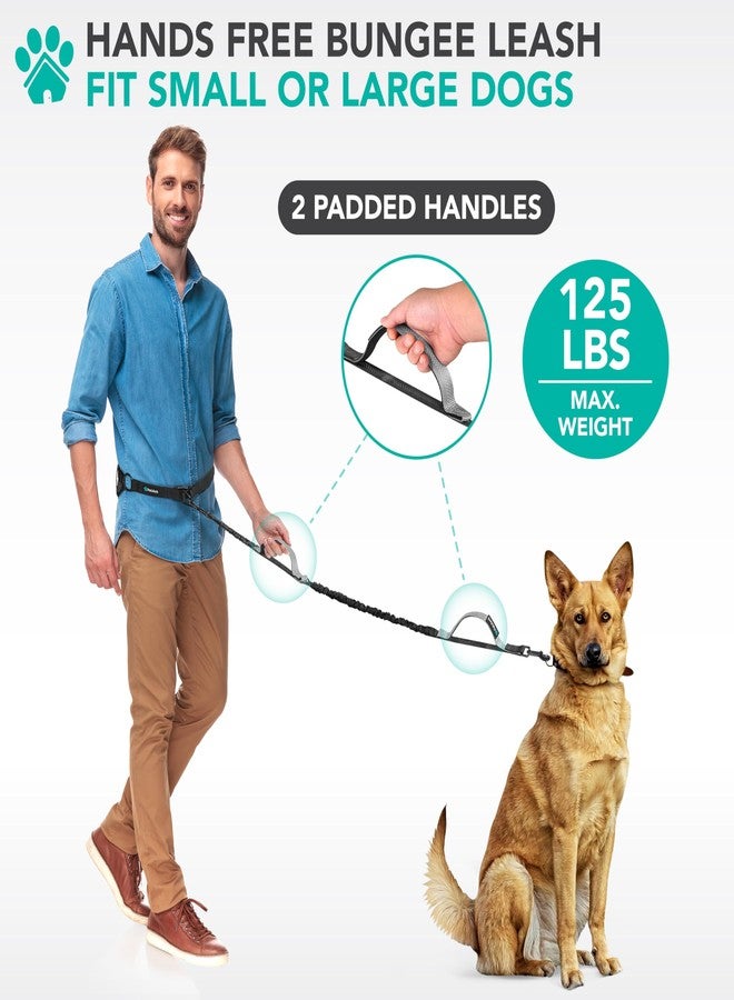 PetAmi Heavy Duty Hands Free Dog Leash, Adjustable Waist Belt for Large Dog Walking Up to 125 lbs, Bungee Leash for Pet Running, Hiking, Reflective Safety for Jogging, Biking, Grey Handle - Image 2