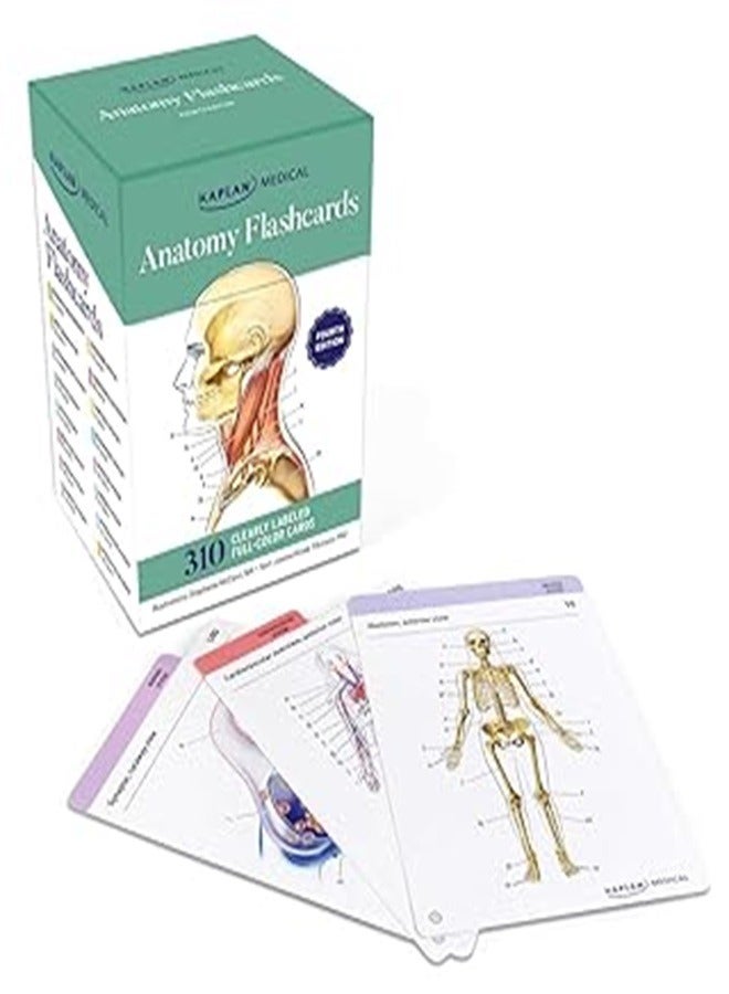 Anatomy Flashcards By McCann Stephanie Tillotson Joanne Paperback