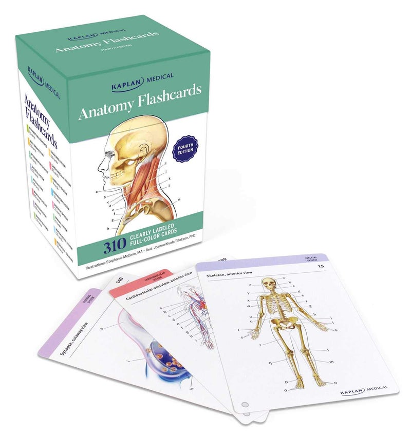KAPLAN Anatomy Flashcards